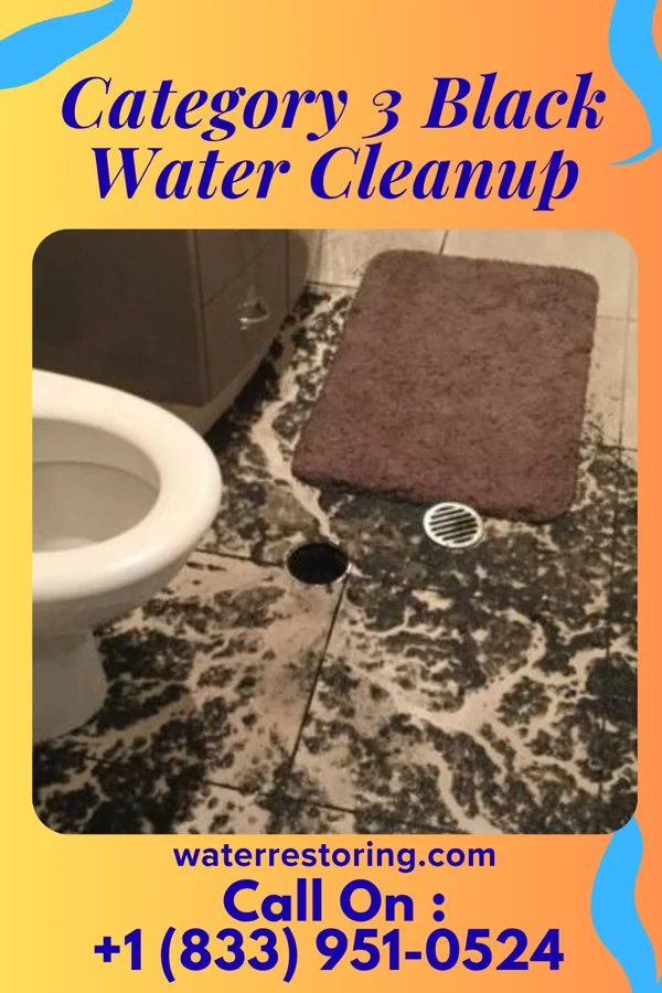 Category 3 Black Water Cleanup in Palmer Heights, PA