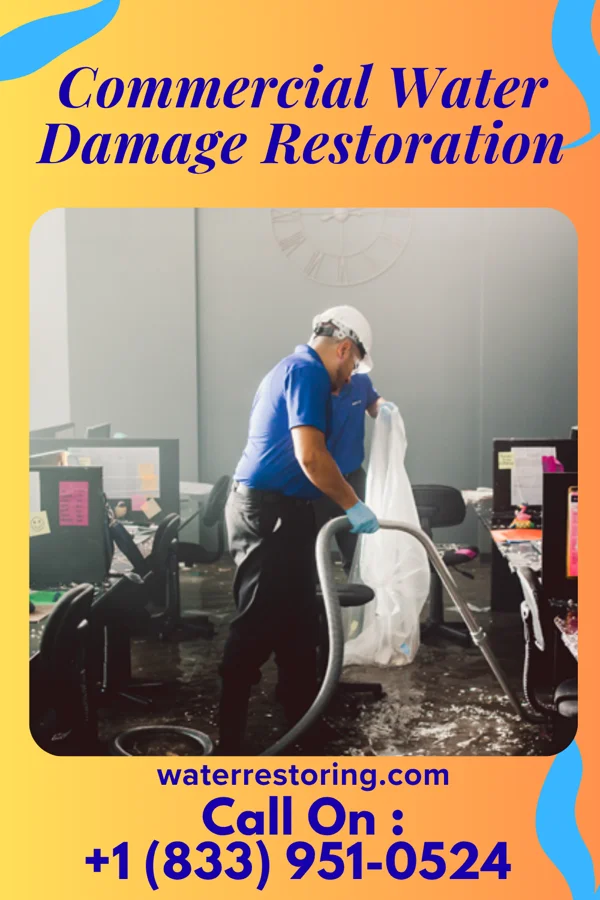 Commercial Water Damage Restoration in Palmer Heights, PA
