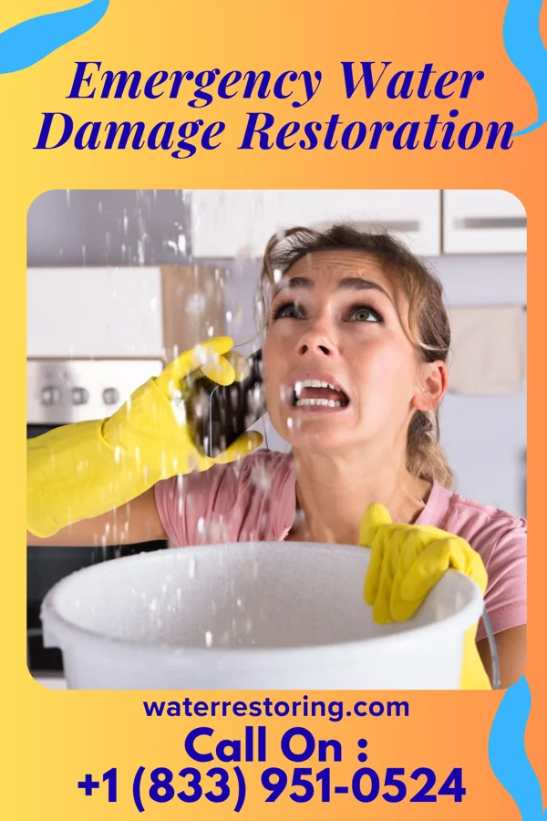 Emergency Water Damage Restoration in Palmer Heights, PA
