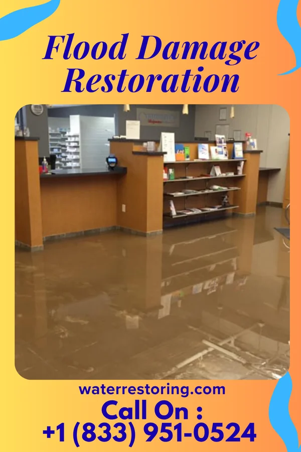 Flood Damage Restoration in Palmer Heights, PA