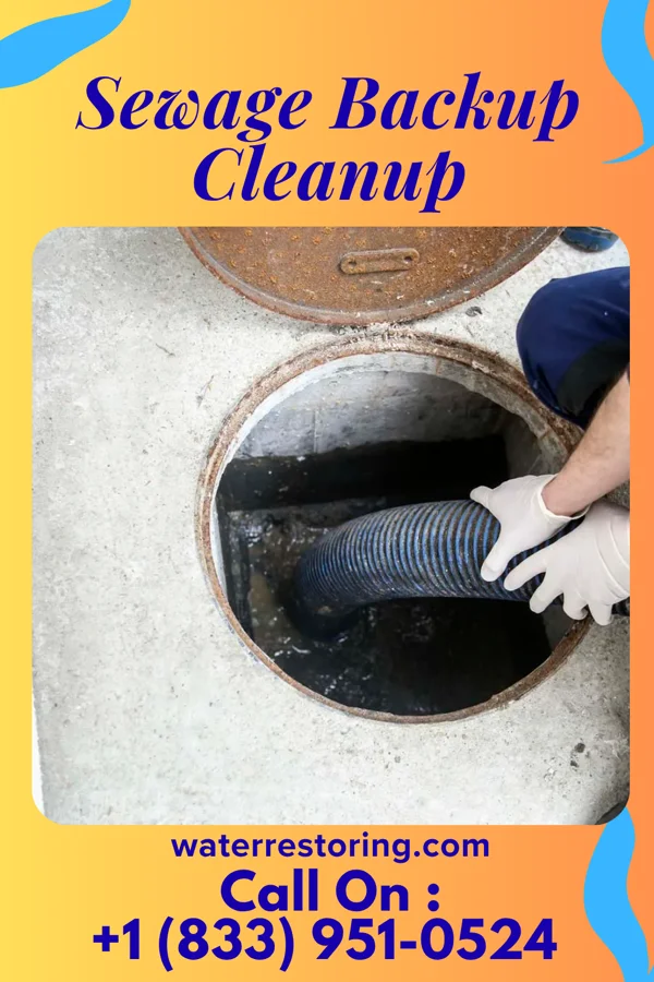 Sewage Backup Cleanup in Palmer Heights, PA