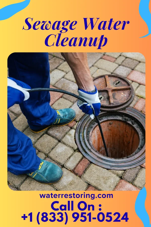 Sewage Water Cleanup in Palmer Heights, PA
